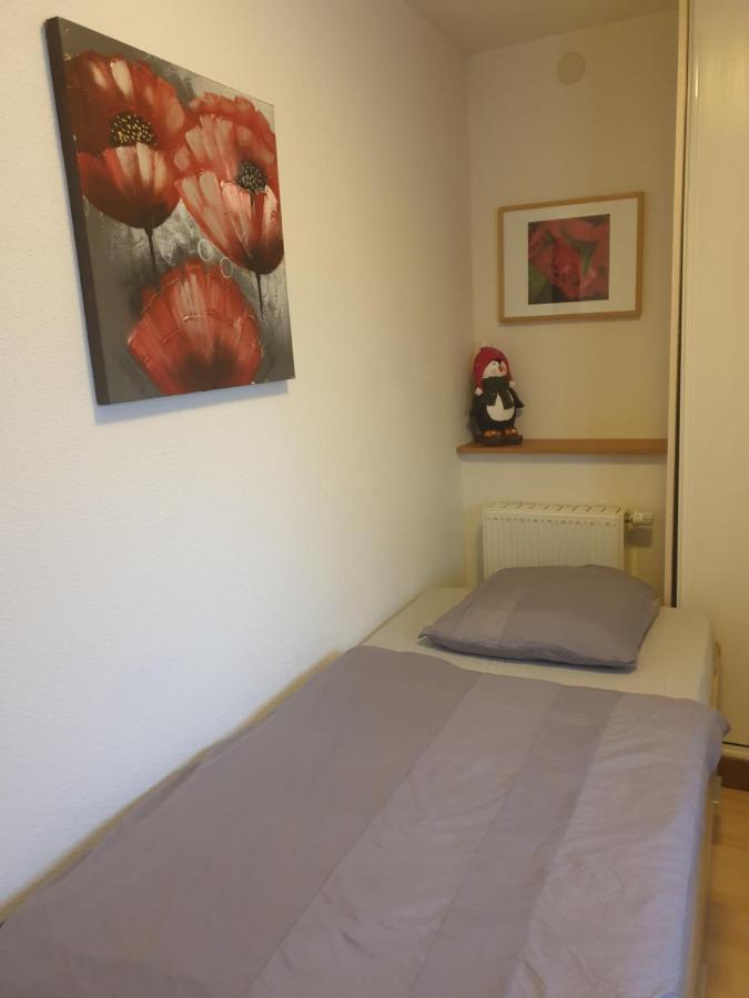 Appartement Proche D'Europa Park/Marches De Noel Rhinau Экстерьер фото